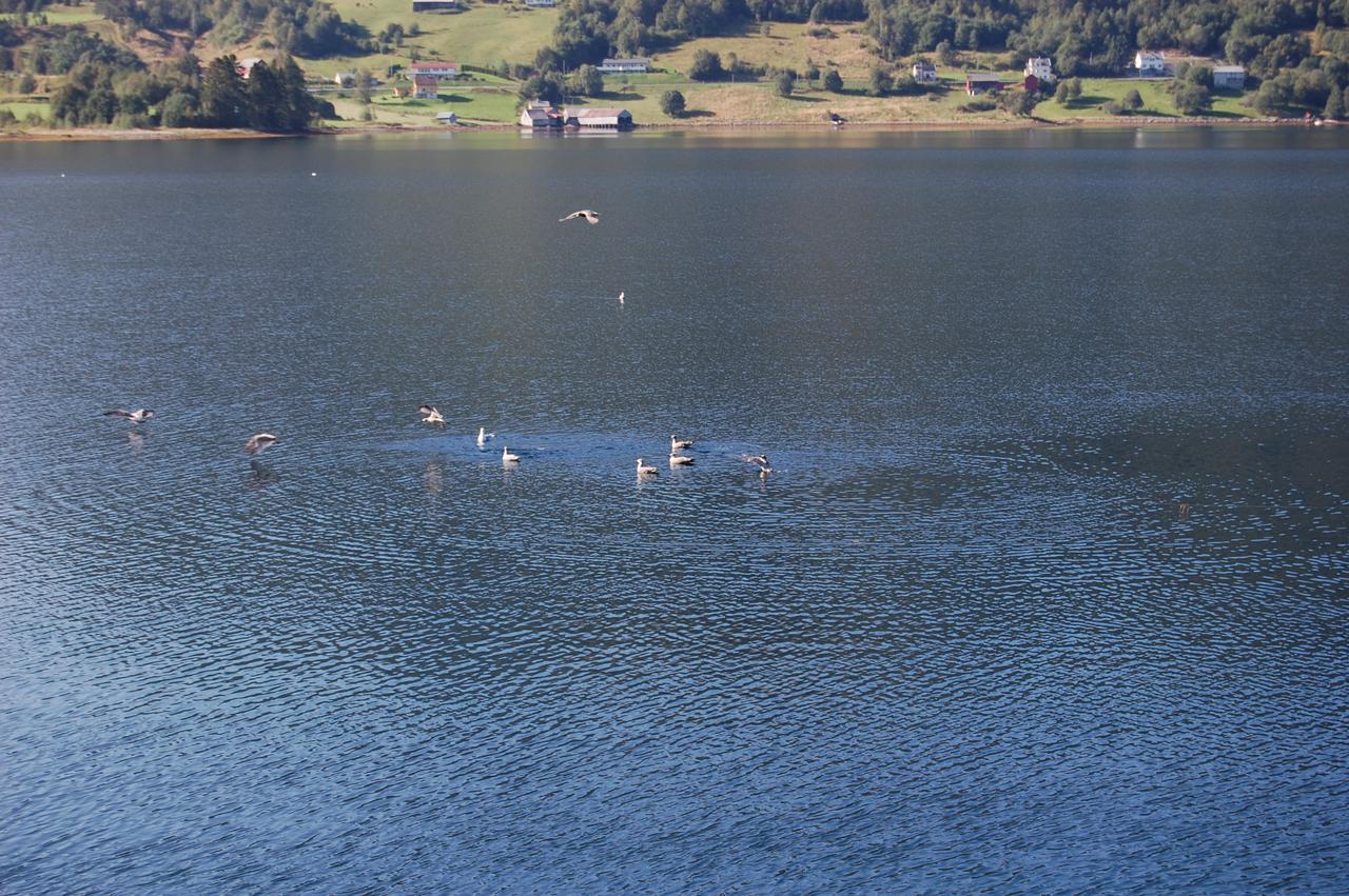 Fagervik Camping Tresfjord Zewnętrze zdjęcie