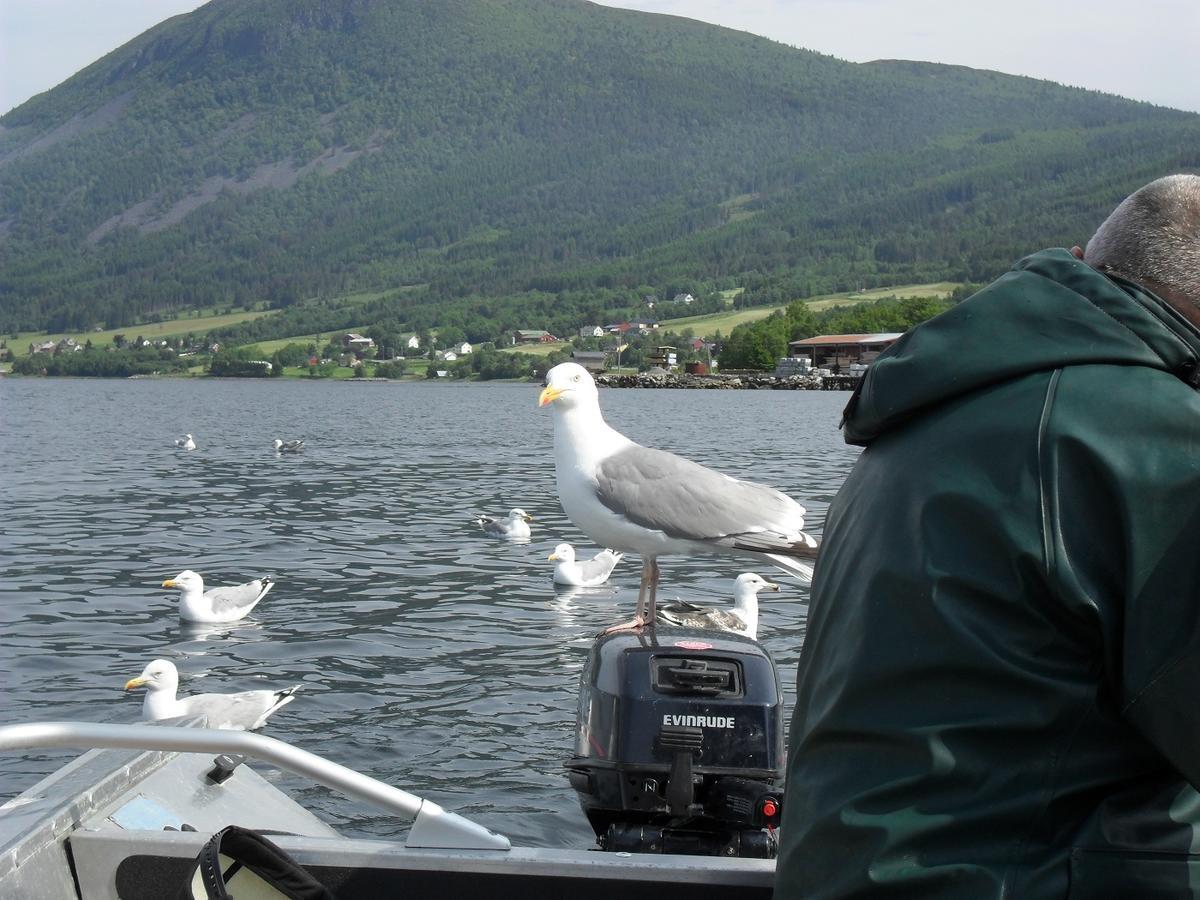 Fagervik Camping Tresfjord Zewnętrze zdjęcie